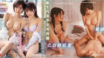 解說-愛的理想生活1.