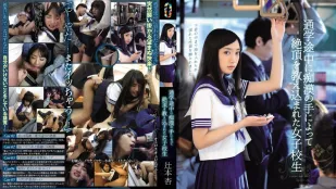 [無碼洩漏] TEAM-065 絕頂高潮的女子校 辻本杏